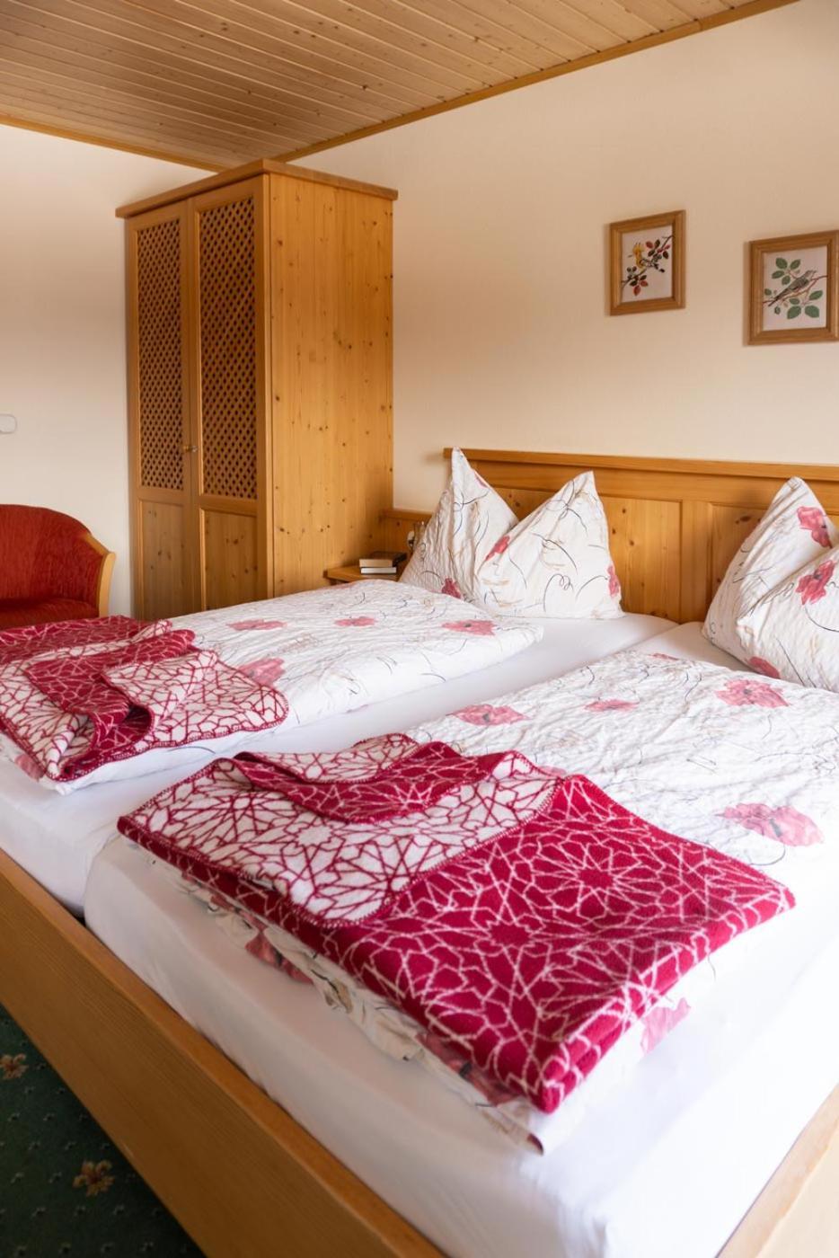 Pension Trillerhof Ramsau am Dachstein Esterno foto
