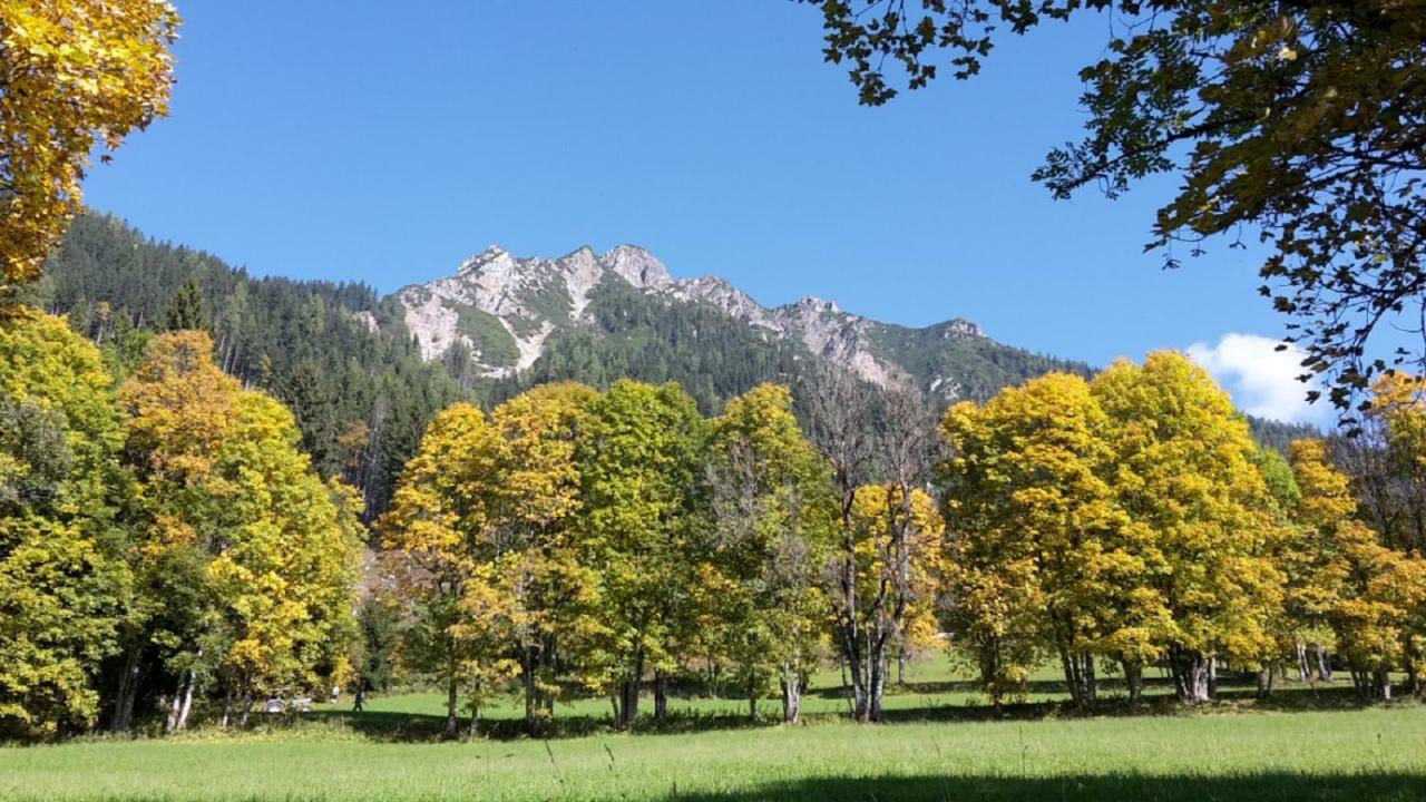 Pension Trillerhof Ramsau am Dachstein Esterno foto