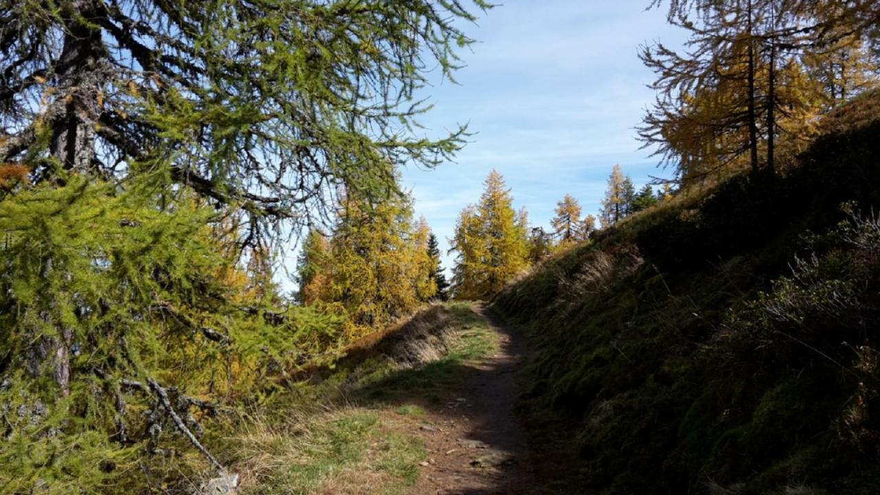 Pension Trillerhof Ramsau am Dachstein Esterno foto